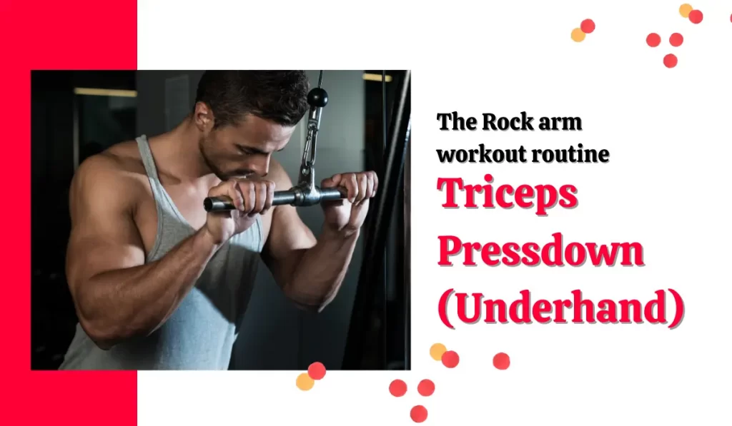 Triceps Pressdown (Underhand)